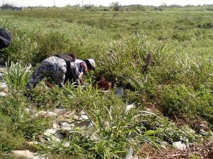 Rescatan a la persona que estaba herida, tirada en Las Matas a un costado de la carretera.