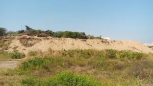 Con maquinaria pesada, están removiendo las dunas costeras de Coatzacoalcos donde viven manadas de coyotes. Ya mataron a uno.