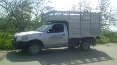 65bf9113-e529-4e29-815e-a957a744d03f