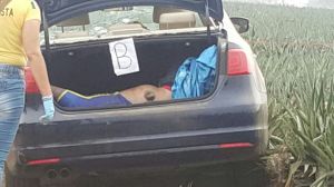 El cadáver del encajuelado del Jetta.