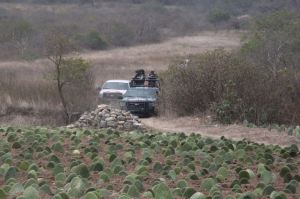 Desplegaron un operativo de seguridad y búsqueda.