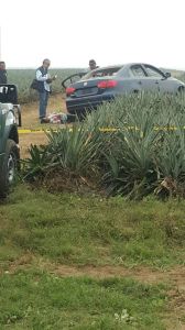 La persecución fue en la zona de cultivo piñera de Ciudad Isla.