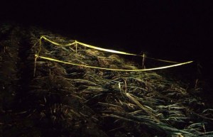 Personal de la Fiscalía acordonó el área.