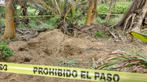 Podría haber más cuerpos.