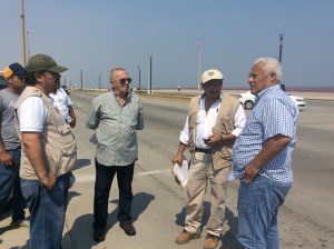 Protección Civil Municipal pide la reubicación de los animales al interior del ecosistema de dunas costeras.