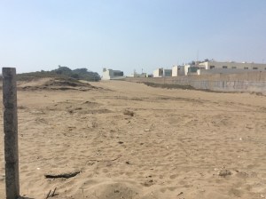 La devastación de las dunas costeras ya está muy avanzada.