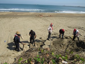 El Ayuntamiento de Coatzacoalcos mandó a poner llantas como barreras de protección a la infraestructura asentada en el área de la ZOFEMAT.