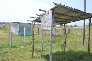 Nivelaron el terreno para asentamientos humanos de la colonia irregular Los Cocos; la invasión ocupa los carriles de ampliación de la carretera a Laguna del Ostión.