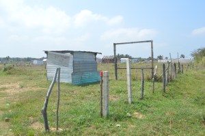  La colonia irregular Los Cocos está en litigio y aparte ya se encuentra invadida mientras se desahogan los recursos legales. Pero retrasa el proyecto de ampliación de obra a seis carriles. 