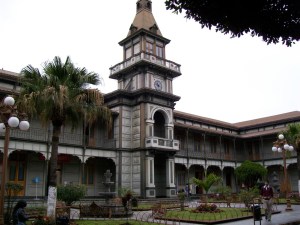 Fue construido ex profeso para ser la sede del Gobierno Municipal de la Ciudad de Orizaba, Veracruz, México a finales del siglo XIX.