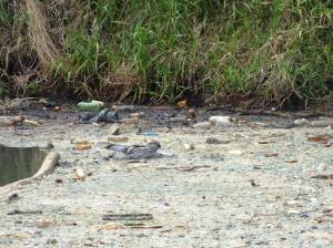 Ejecutado, lo arrojaron a canal de aguas negras en zona industrial de Coatzacoalcos.