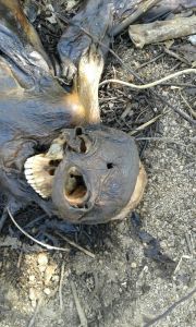 Tenía un impacto de bala, el tiro de gracia en la cabeza.