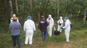 Realizaron trabajos de búsqueda en zonas rurales hasta dar con estos restos óseos.