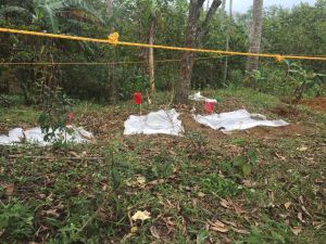 Hallan al menos 11 restos humanos de cuerpos en Córdoba, en fosa clandestina.