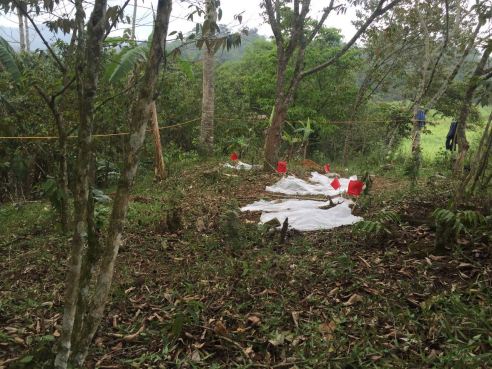 AoRlubJDErFJ1VhTggGYHHQyzwx49BypgVoDcQ727twY