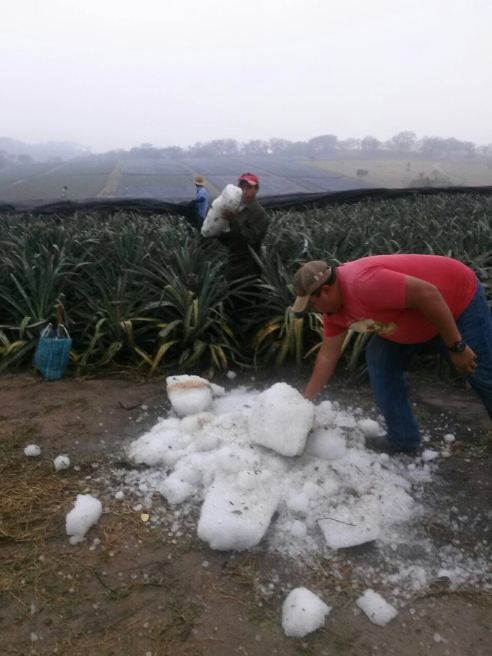 AqBUctynZLzPLUXy4x7mJd6xuQlMceaAUcl6OSwr9LZ6