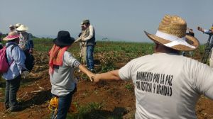 Buscan restos humanos en Veracruz.