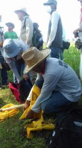 Iban equipados con equipo de rastreo como picos y palas.