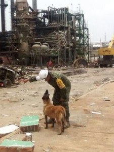 Los binomios humano-caninos trabajan en las zonas de más difícil acceso de la planta PMV.