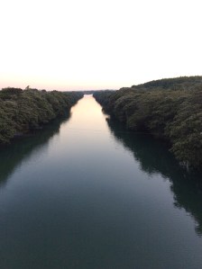 El canal de 2 kilómetros con dragado desde el río Uxpanapa ha secado los pozos de los campesinos.
