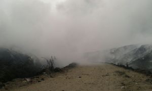 WhatsApp-Image-20160513 (4)