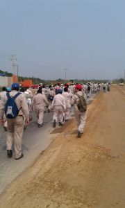 Marcharon desde la Gerencia de Mantenimiento.