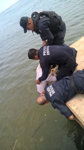 Lo sacan del río Coatzacoalcos. Los policías estatales le ayudan a salir de una muerte segura.