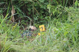 Un cadáver putrefacto, fue hallado.