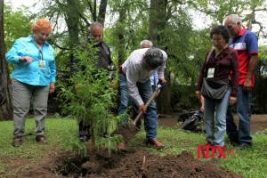 Campañas de reforestación.