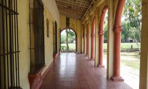 LA EX HACIENDA DE NOPALAPAN: CUNA DE ARCADIO HIDALGO
