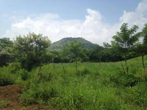 La reserva de la Biosfera de Los Tuxtlas, amenazada.