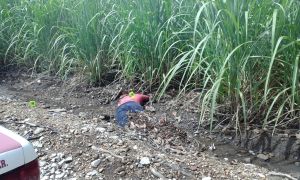 Ejecutado en Cuitláhuac; acaban con la vida de un taxista de 10 balazos.