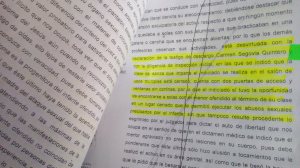 Echan abajo los argumentos de la directora.