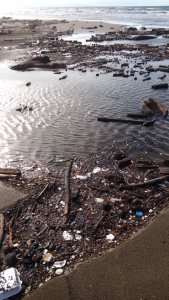 Son un cochinero las playas de Coatzacoalcos, este Verano 2016.