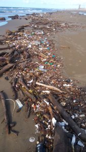 Son varios kilómetros del litoral donde se encuentra lleno de basura, materiales de plástico, vidrio, latas... y hasta palizada con lirio acuático.