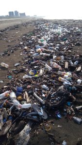 En estas condiciones se encuentran las playas de Coatzacoalcos.