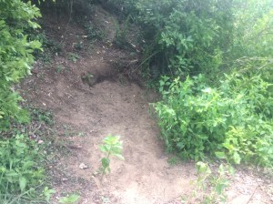 En los tres lugares donde se hicieron excavaciones en el predio de la familia Vidal, NO SE ENCONTRÓ NADA.