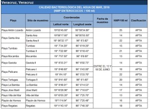 Playas de Veracruz son aptas para este verano a vacacionistas.