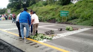 Bloquearon autopista hacia México, por Córdoba.