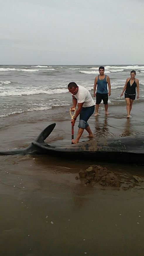 WhatsApp-Image-20160713 (6)