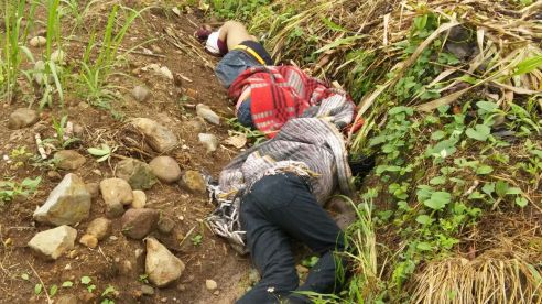 WhatsApp-Image-20160714 (1)