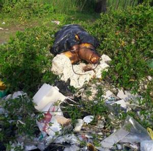 Lo arrojan entre la basura, descuartizado y embolsado.