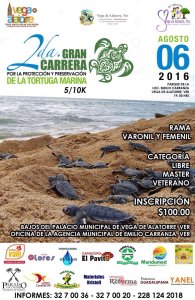 Apoyemos a las tortuguitas.