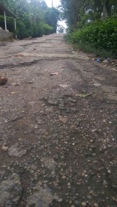 La carretera que va desde Malpasito hacia Amatán, semi-destruida.