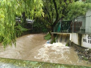 SE INUNDAN EN NOGALES Y RIO BLANCO.