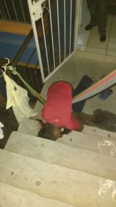 Homicidio en Punta Verde, del Fraccionamiento de Cosoleacaque.