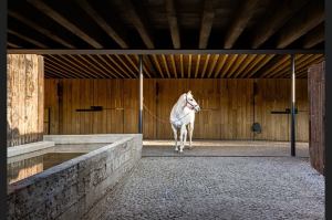 Tiene caballerizas con ejemplares pura sangre.