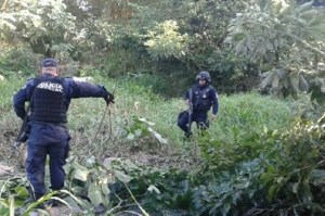 Chupaductos en el sur de Veracruz. Aseguran toma clandestina.