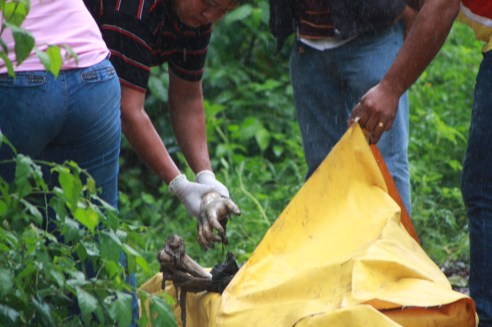 WhatsApp Image 2017-05-30 at 13.41.49