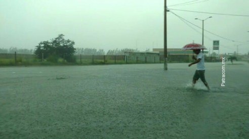 WhatsApp Image 2017-10-19 at 12.22.09 PM